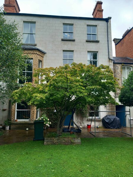 Protected structure in Rathgar, South Dublin by David Flynn Architects